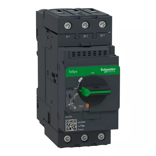 Disjuntor motor termomagnético Tesys Deca com Everlink 48-65A, manopla rotativa, GV3P65