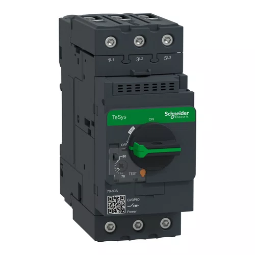 Disjuntor motor termomagnético Tesys Deca com Everlink 70-80A manopla rotativa, GV3P80